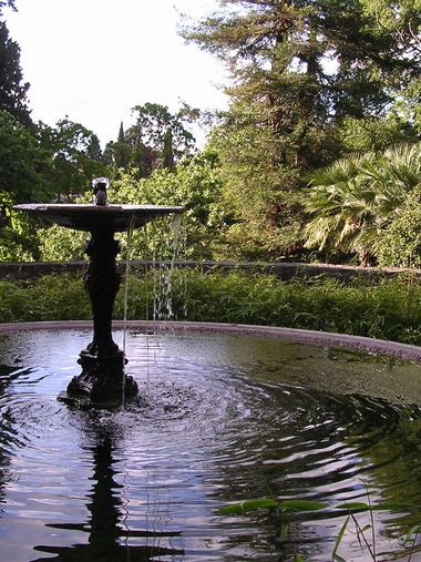 Jardin des plantes